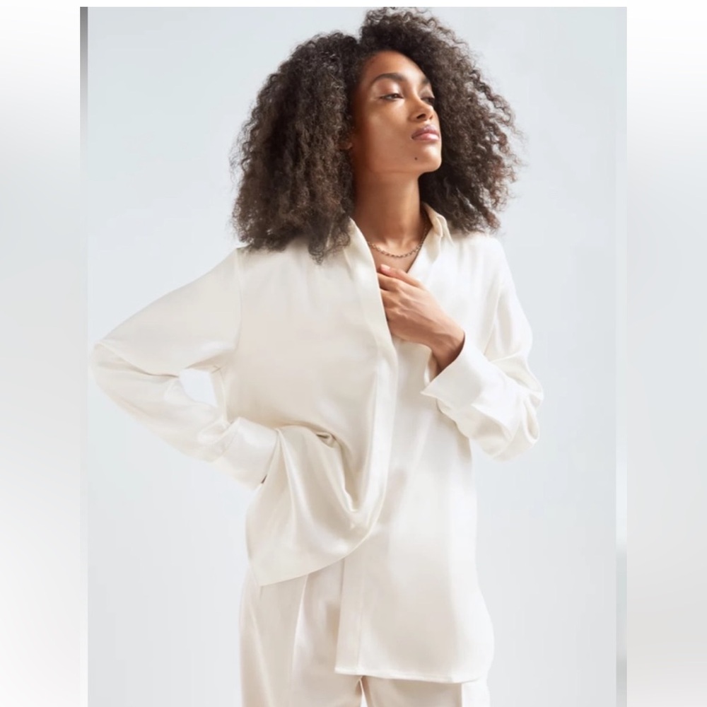 Babaton Sable Button Up